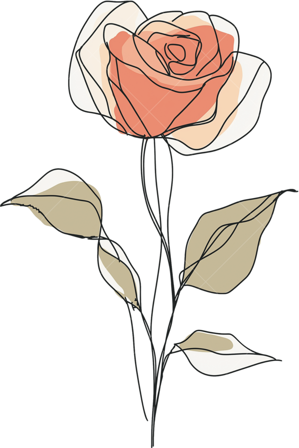 Термонаклейка на одежду Нарисованная роза