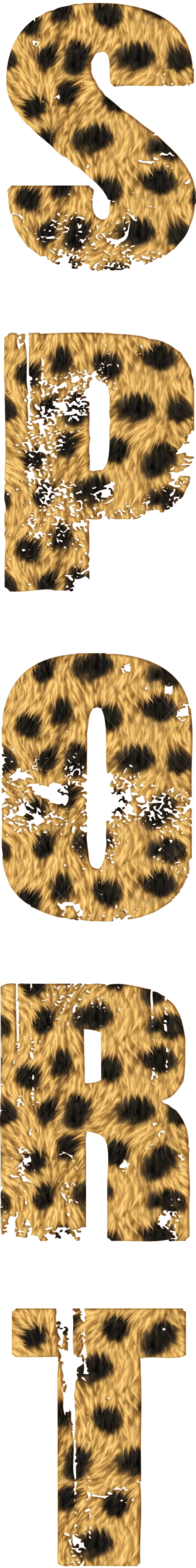 Термонаклейка на одежду c надписью "SPORT"