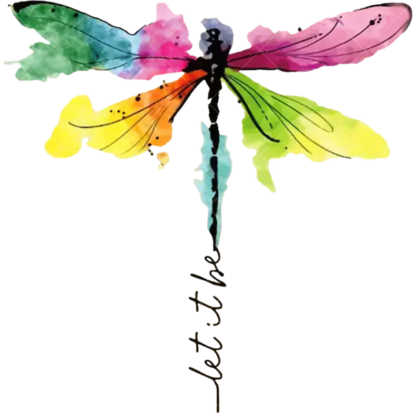 Термонаклейка на одежду стрекоза