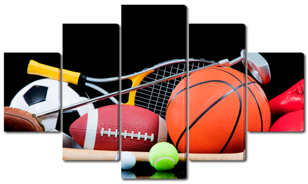 Спортивный инвентарь 