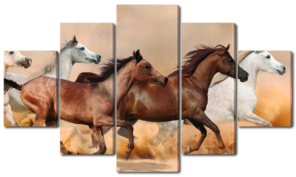 Лошадиное стадо