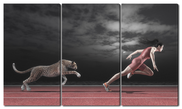 Человек против животного