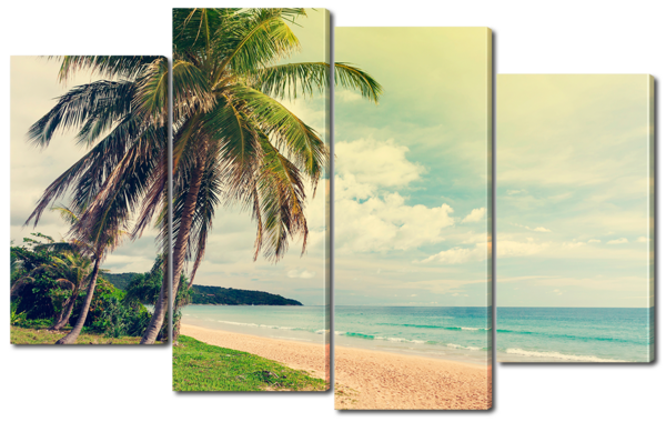 Пальма на побережье