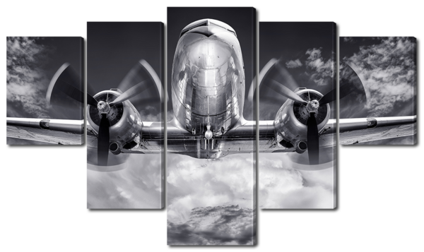 Черно-белый самолет