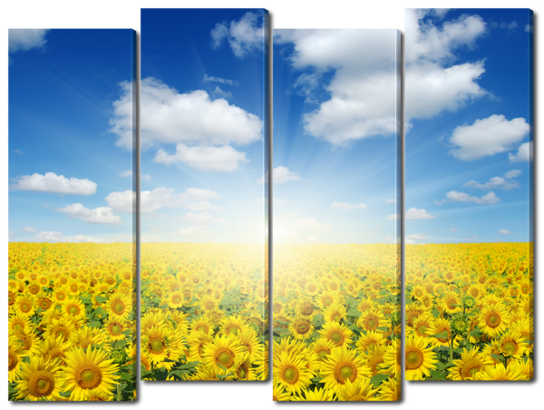 Восход в цветах флага Украины