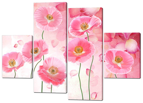 Розовые маки, рисунок