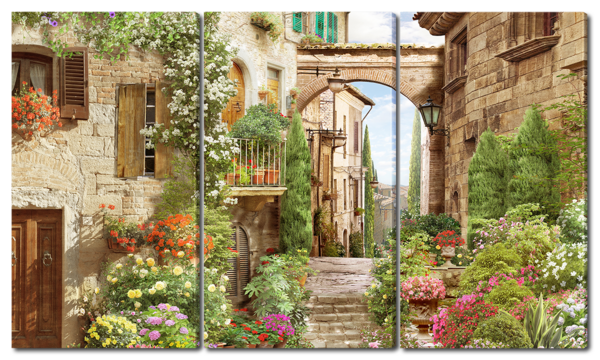 Герань во дворике