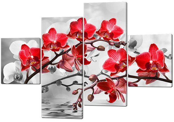 Орхидея красная на сером