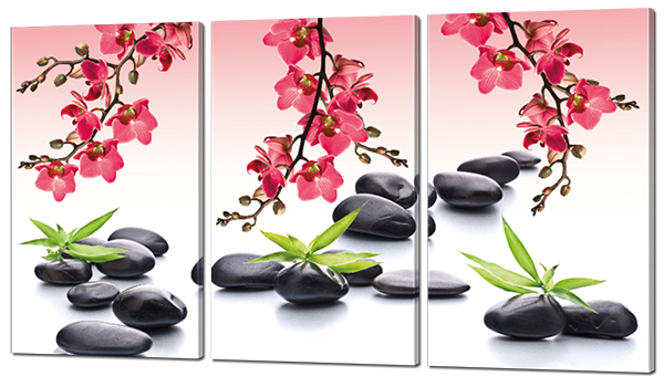 Черные камни и  цветы