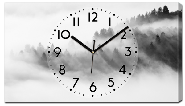 Лес в утреннем тумане