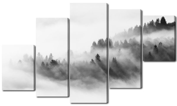 Лес и туман