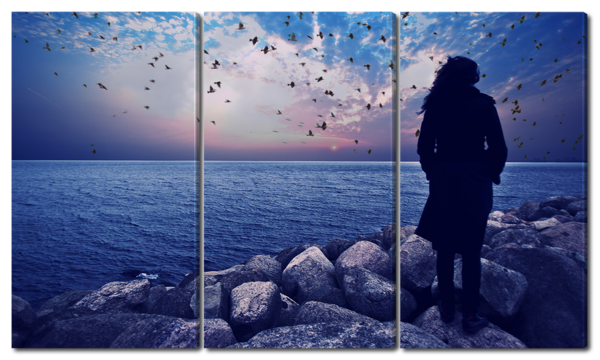 Птицы на закате