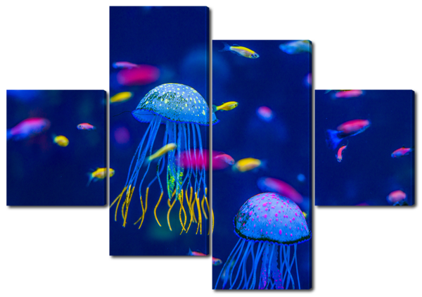 Рыбки и медузы