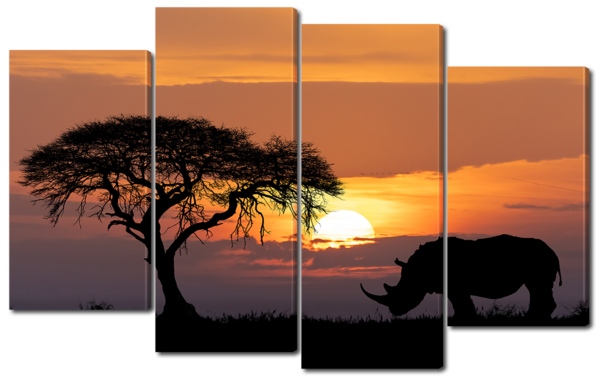 Носорог на закате