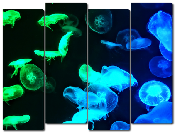 Медузы на глубине 