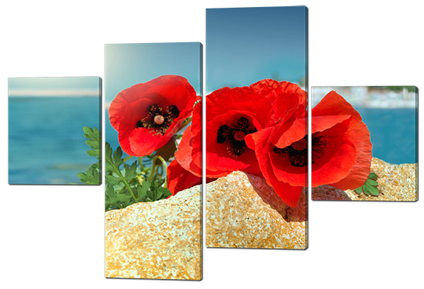 Водный канал  цветы