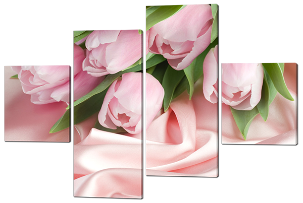 Нежные розовые тюльпаны 