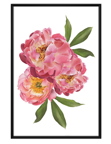 Картина розы 3