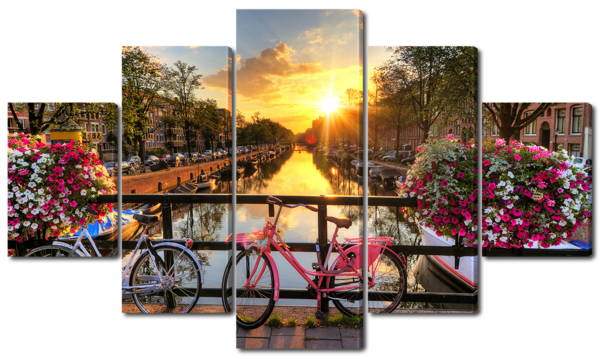 Цветы в Голандии