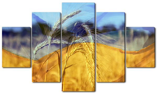 Символы Украины