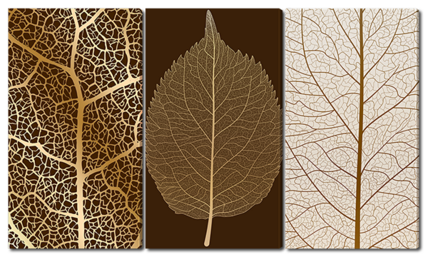 Золотые листья 4