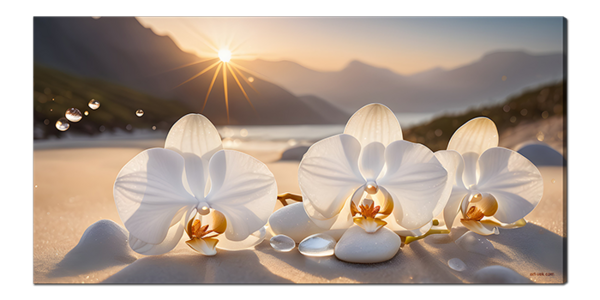 Орхидеи на берегу