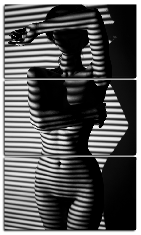 Женский силуэт 