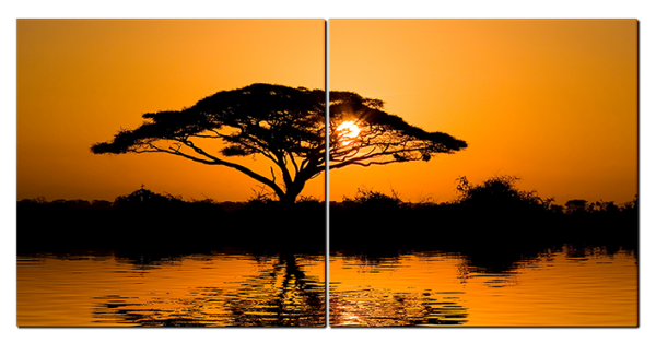 Африканское дерево на закате