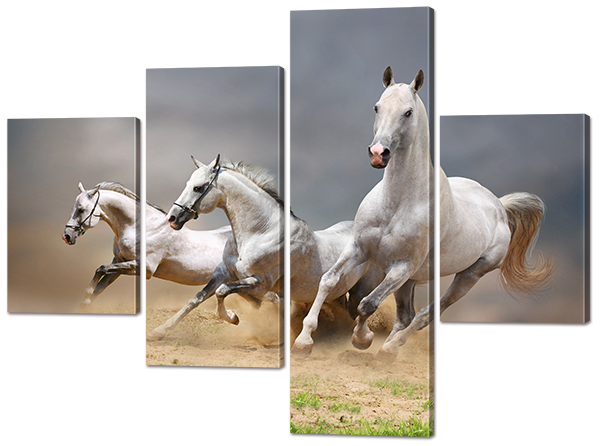 Три скакуна на сером фоне