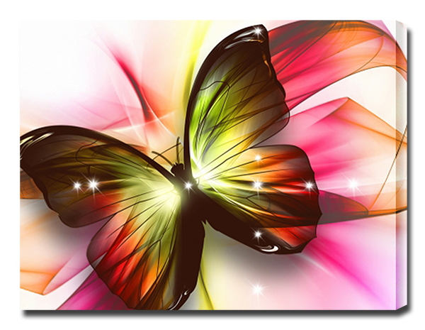 Красочная бабочка